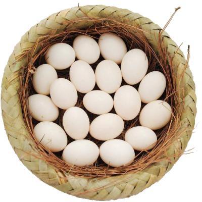 春朝 苏北宿迁宿豫来龙光明村农家散养放养 新鲜鸽子蛋30枚 满月喜糖